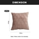 thumbnail image 2 of Juego de 2 fundas de almohada decorativas de felpa suave con forma de abrazo de 20 x 20 ", funda de cojín cuadrada, 2 of 6