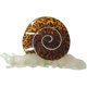 thumbnail image 1 of wonima11 Snail Hair Clip,Acetate Claw Clips,Hair Clips for Women,Green, 1 of 1