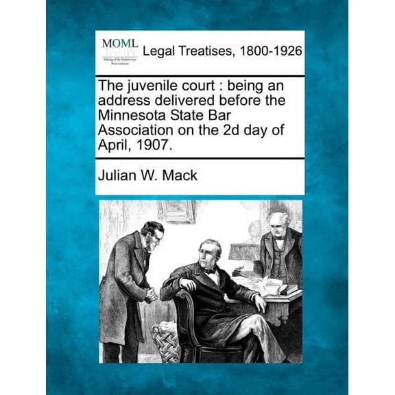 The Juvenile Court (Paperback)