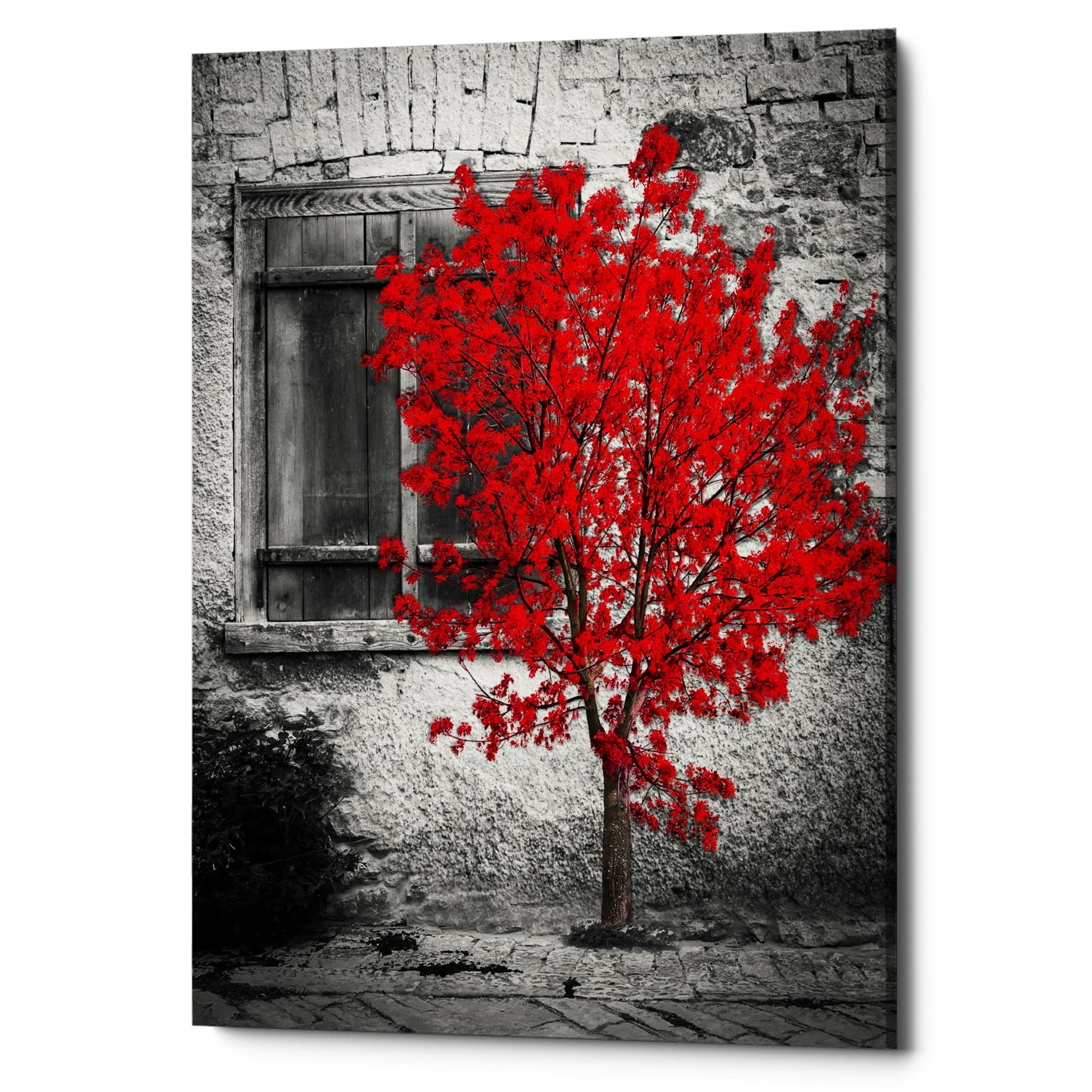 Passion Red Tree Rustic Home Canvas Wall Art, 12" x 16"