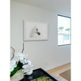thumbnail image 4 of Marmont Hill "White Beauty" Framed Painting Print, 4 of 6