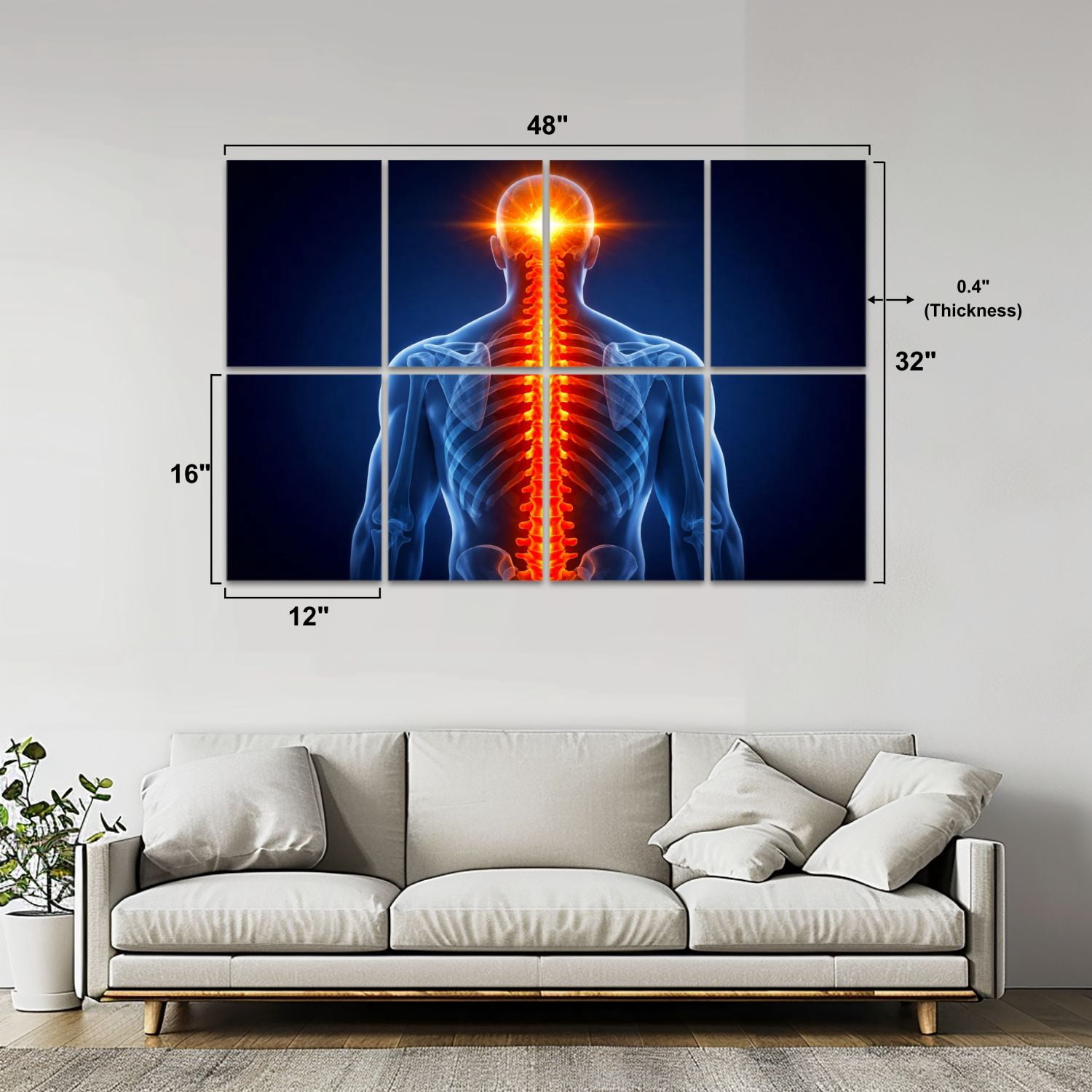 Medical 8 Pack Art Acoustic Panels Sound Absorbing Glowing Human Spine Anatomy Radiant Nervous System Skeletal Structure Decorative Soundproof Wall Panels Self Adhesive for Classroom Hospital 48"x32"