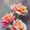 Rose, variant on UXIEQU Japanese Street Scene Illustration Canvas Print 15.75x11.81 Inches