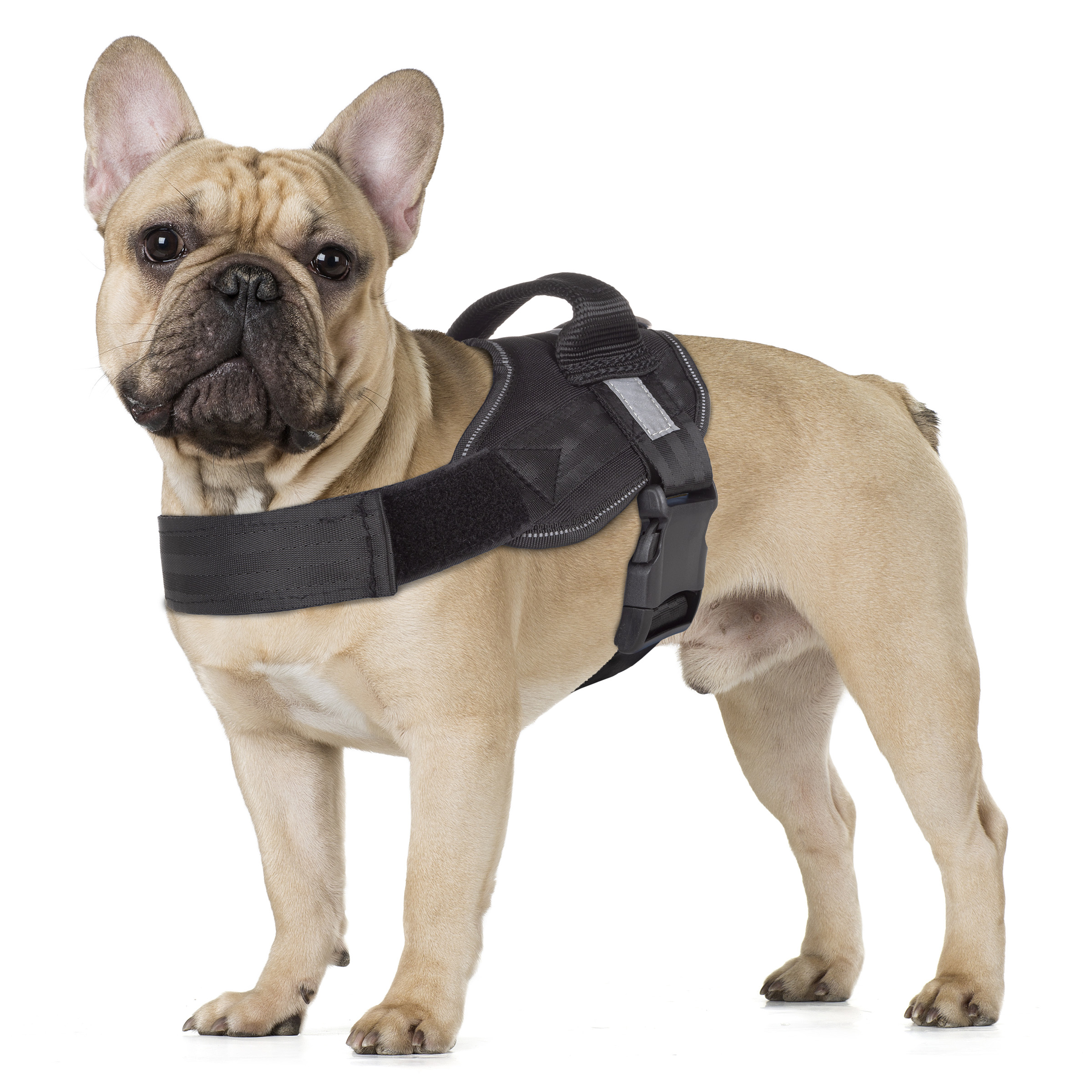 Petmaker Dog Harness for Dogs 30-60 lbs.