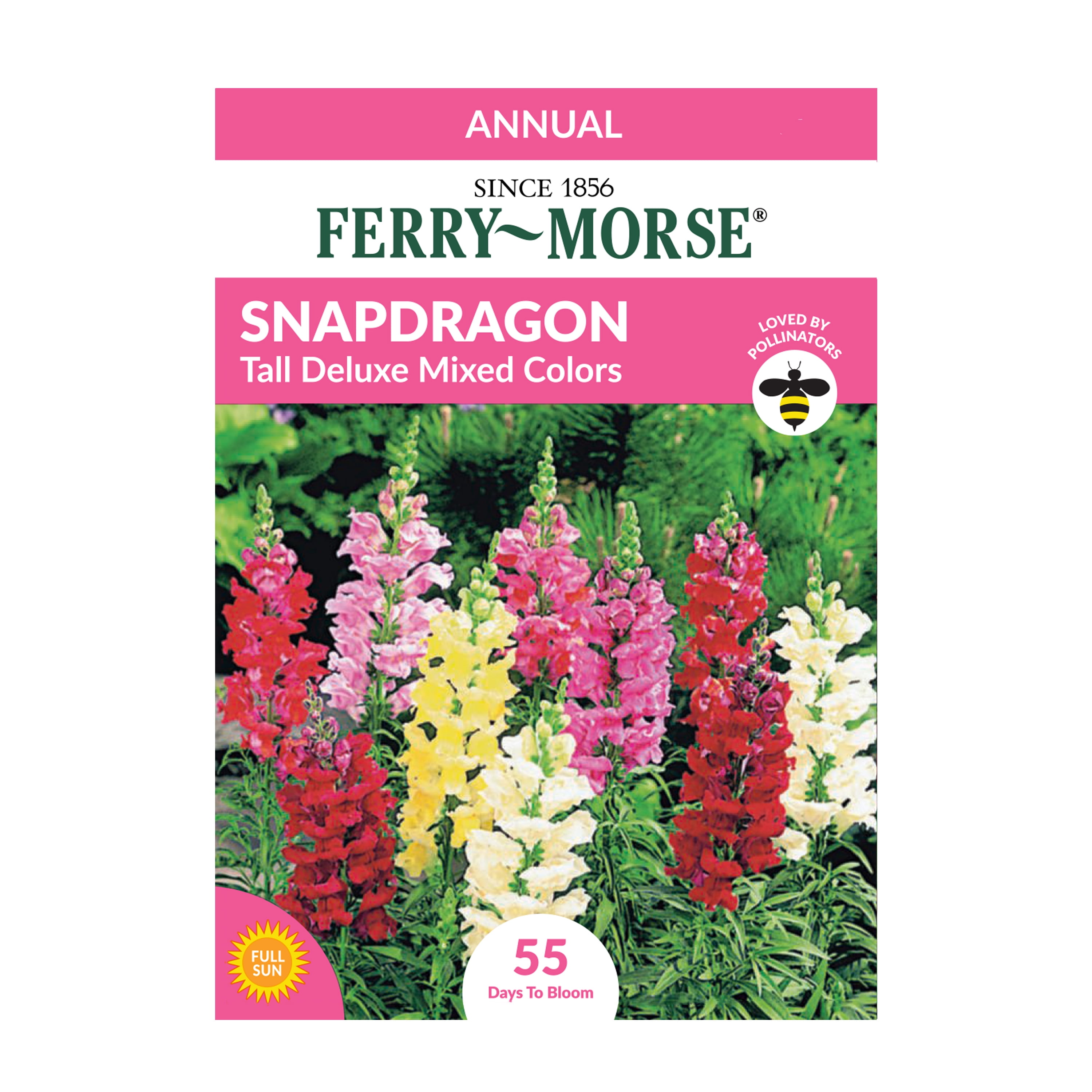 Ferry-Morse 11MG Snapdragon Tall Deluxe Mixed Colors Flower Seeds (1 Pack)- Seed Gardening, Full Sunlight