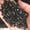 Gold obsidian, variant on Natural Crystal Stone Chips Gravel Mix, Quartz Howlite Shungite Obsidian Mineral Stones, Decorative Mini Gravel for Aquarium, Home Decor, DIY Crafts & Terrarium