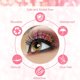 thumbnail image 3 of Magnetic False Eyelashes Eyeliner, 3 Pairs Reusable Natural Magnetic Eyelashes With Eyeliner And Eyelash Curler, 3d Magnetic Waterproof Handmade False, 3 of 5
