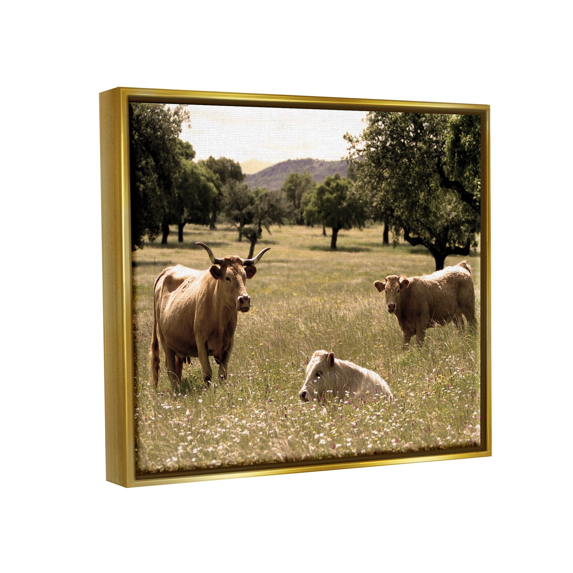 Stupell Industries Three Cattle Relaxing Grassland Pasture Rural Farm Trees Photograph Metallic Gold Floating Framed Canvas Print Wall Art, Design by Daphne Polselli