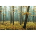 thumbnail image 2 of Podt, Martin 14x11 White Modern Wood Framed Museum Art Print Titled - Holterberg in the Mist, 2 of 4