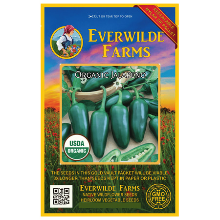 Everwilde Farms - 25 Organic Jalapeno Hot Pepper Seeds - Gold Vault Jumbo Bulk Seed