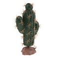 thumbnail image 1 of Reptile Terrario Cactus Plantas Suculentas Paisaje para Tortuga Tortuga - tal se describe, qm-38 Colco Planta de terrarios de reptiles, 1 of 8