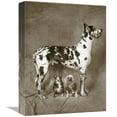 thumbnail image 1 of Global Gallery's 'Cover Up' By Jim Dratfield Stretched Canvas Wall Art, 1 of 4