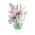 thumbnail image 2 of Loudon, Jane 25x32 Gold Ornate Wood Framed with Double Matting Museum Art Print Titled - Lily Garden II, 2 of 4