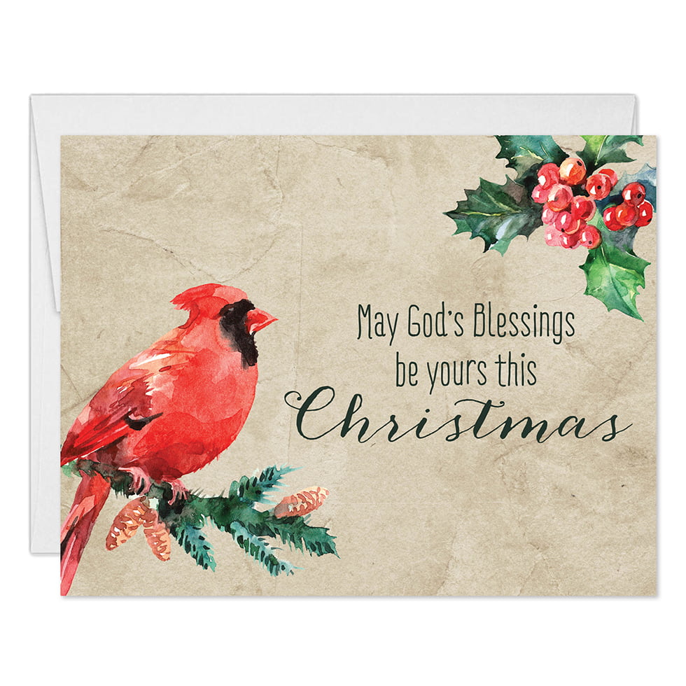 5 Assorted Lovely Nature Christmas Season Designs Warmest Greetings Card Set with Envelopes Included Great Value by Digibuddha Pack of 25 Holiday Greeting Notecards 25 Mixed Variety Boxed Cards