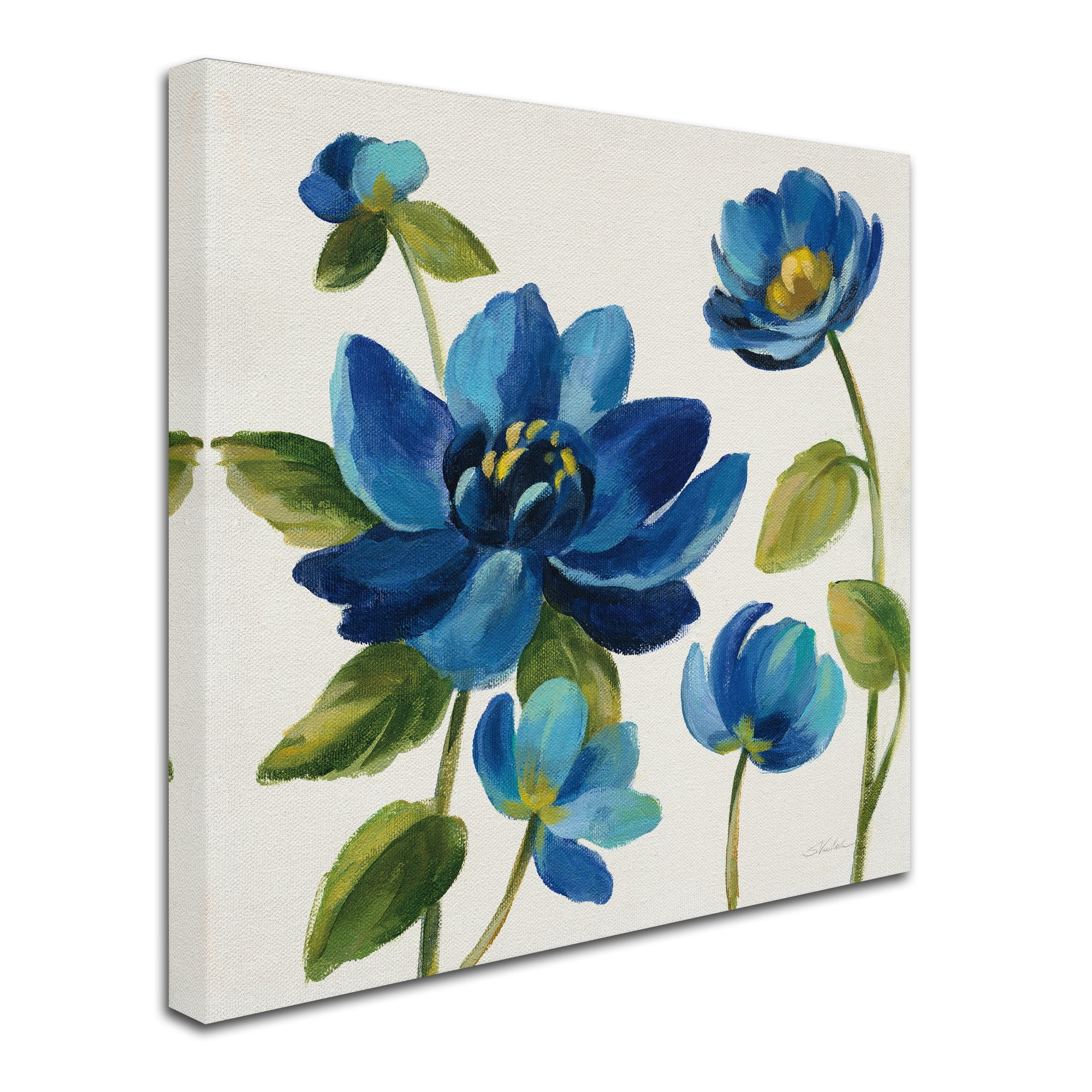 Trademark Fine Art 'Seaside Garden I' Canvas Art by Silvia Vassileva