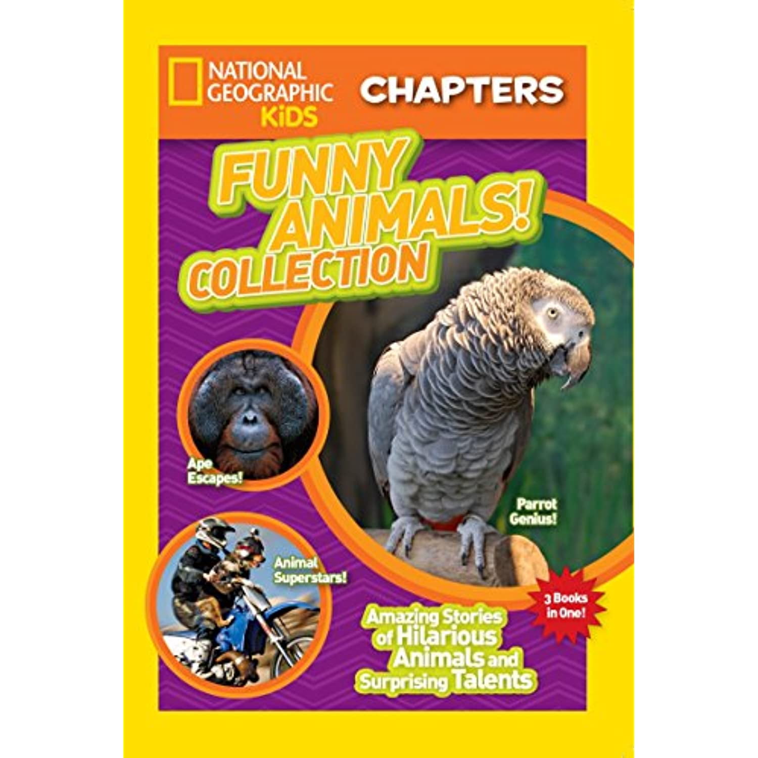 National Geographic Kids Chapters: Funny Animals! Collection: Amazing Stories of Hilarious Animals and Surprising Talents | Walmart Canada National Geographic Kids Chapters: Funny Animals! Collection: Amazing Stories of Hilarious Animals and Surprising Talents | Walmart Canada
