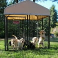thumbnail image 5 of Lucky Dog STAY Series Studio Jr. 4x4x4.3 Foot Steel Frame Dog Kennel, Khaki, 5 of 10