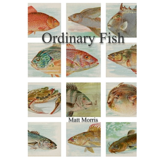 Ordinary Fish/Watt Worris, (Paperback)