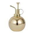 thumbnail image 1 of Arrosoir Manuel Portable en Acier Inoxydable 500 ml pour Plantes Succulentes d'Intérieur, 1 of 3