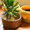 thumbnail image 4 of suyin Round For Ikebana Kenzan Flower Base Holder Spiky Frog Fixed Tool Floral Arrange, 4 of 9
