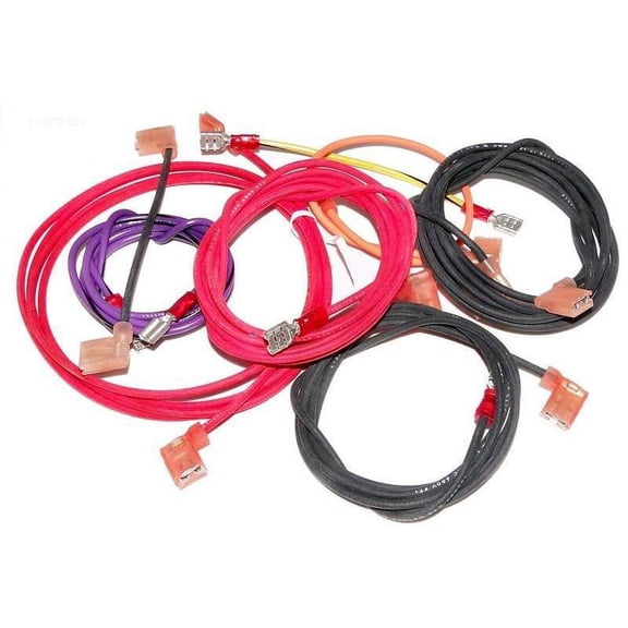 Raypak Wire Harness Millivolt 010386F