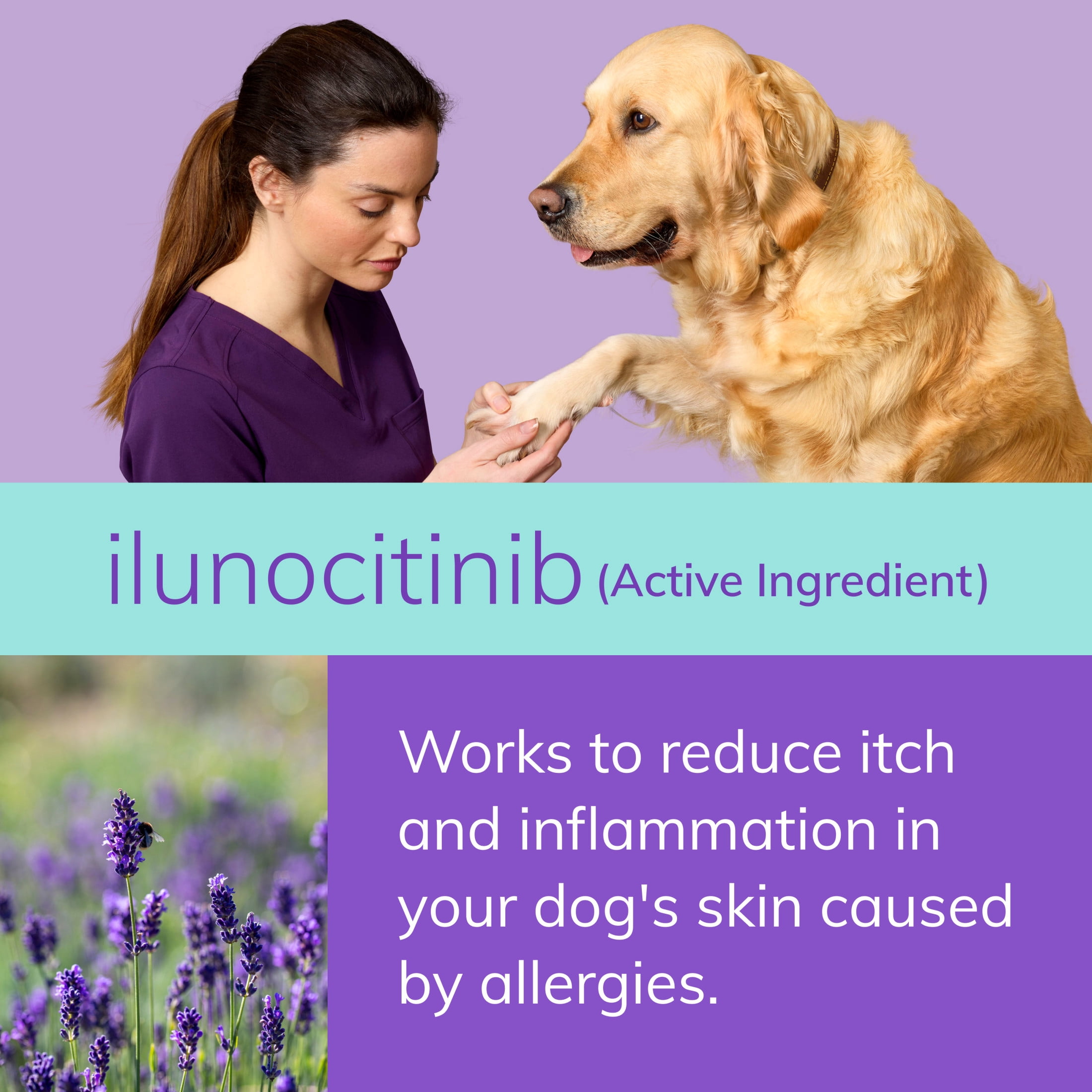 Zenrelia (Ilunocitinib Tablet) Once Daily Prescription Itch Relief for Dogs 6.4 mg