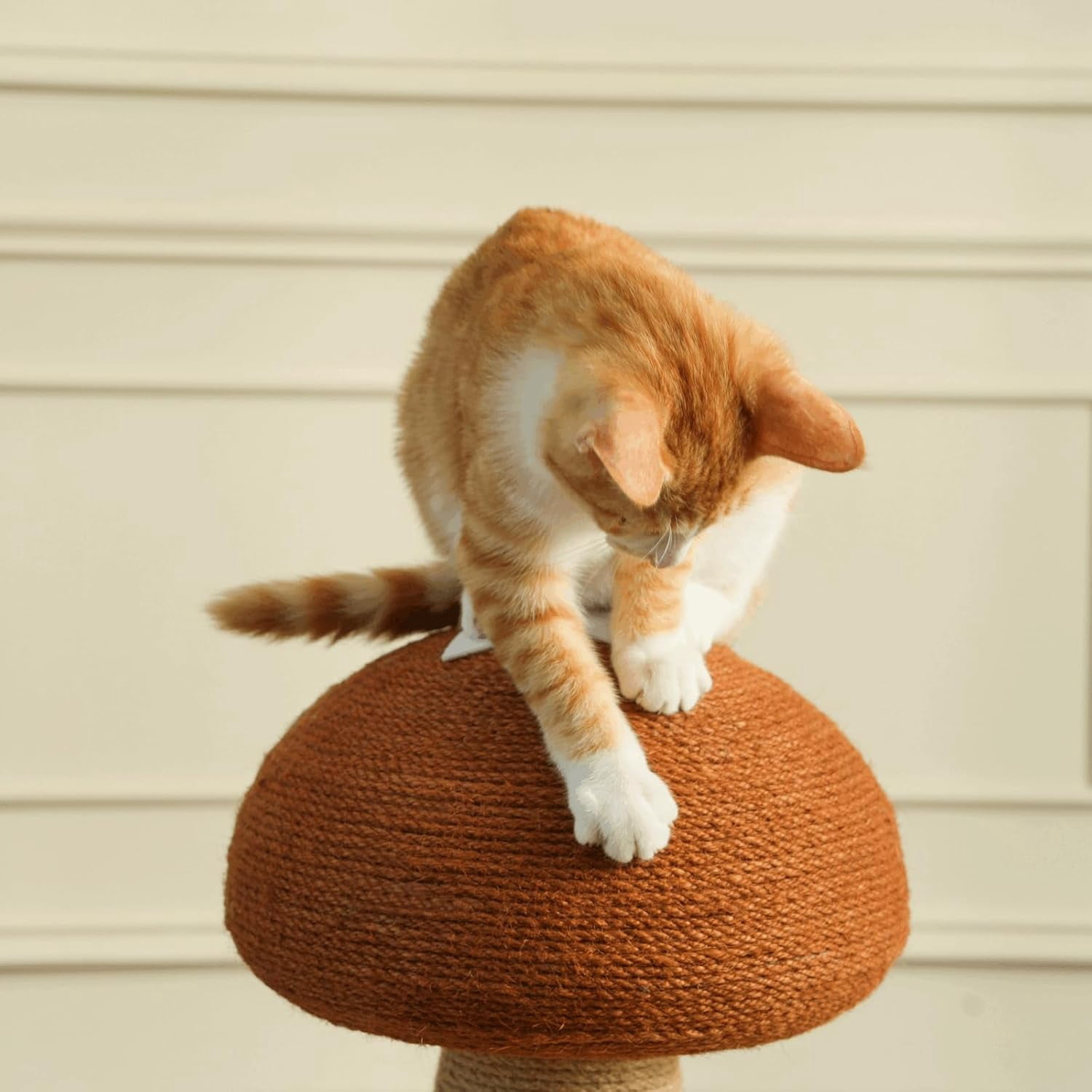 Amgo Brown Adorable Mushroom Cat Scratching Post, Cat Toys for Indoor Cats with Durable Sisal Rope for Cat Scratcher, Cozy Plush Base