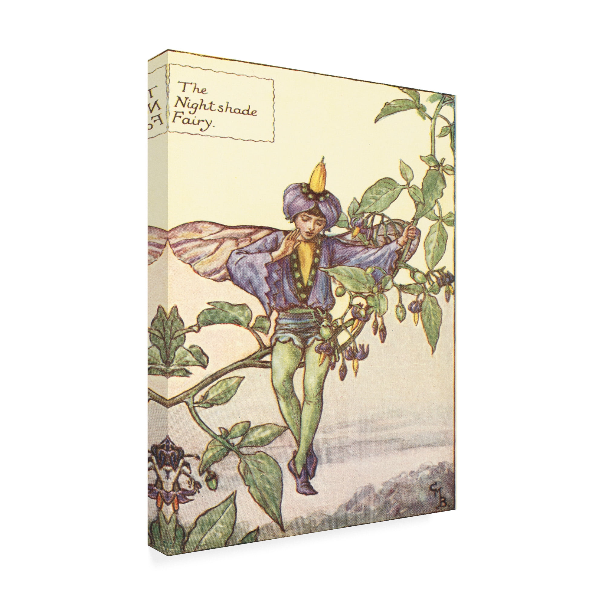 Trademark Fine Art 'The Nightshade Fairy' Canvas Art by Vision Studio