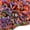 Trick or Treat-1 pound, variant on Crinkle Cut Paper Shred Filler 2 Pound Pine Green Gift Basket Packing