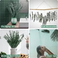 thumbnail image 7 of Natural Dried Eucalyptus Bundle,Large Dried Eucalyptus for Shower,Eucalyptus Stems Bundle,Green Plant Arrangement,Hanging for Bathroom Decor,Home Rustic Vase Filler (Set of 20), 7 of 7