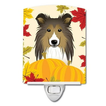 Caroline's Treasures BB2048CNL Sheltie Thanksgiving Ceramic Night Light, 6x4x3", multicolor
