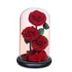 thumbnail image 5 of Rosa eterna en cúpula de cristal Decoración para el Día de San Valentín Regalos para el Día de San Valentín Manualidades Estilo D, 5 of 9