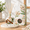 Cedar&musk, variant on No. 1898 Hotel Collection Reed Diffuser 3.38 Fl Oz