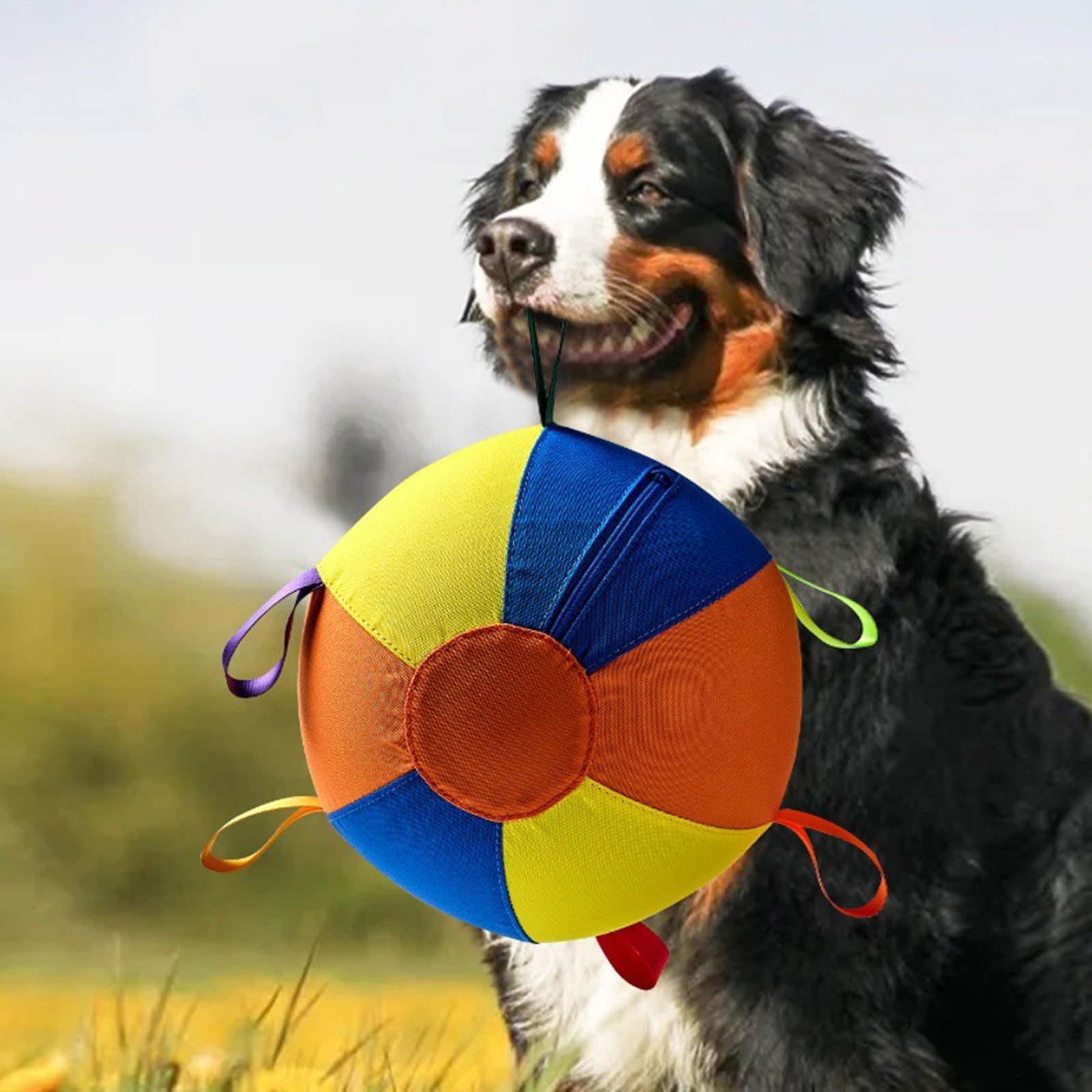 Calming Jumbo Ball for Dogs, Inflatable Giant Herding Ball with Handle Cover & Pump, Durable Tear-Resistant Dog Exercise Ball 18in, Interactive Toy for Large Breed Training Play