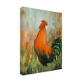 thumbnail image 2 of Canvas Wall Art - John Silver 'Cockerel' Wall Art for Living Room, Bedroom, or Office Décor by Trademark Fine Art - 35 x 47 Inches, 2 of 4