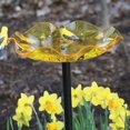 thumbnail image 1 of Birds Choice Pole Mounted Acrylic Bird Bath, Yellow, 1 of 1