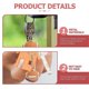 thumbnail image 2 of 16pcs Rugby Keyrings Backpack Hanging Keychains Sports Theme Hanging Ornaments, 2 of 3