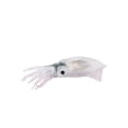 thumbnail image 4 of Figura Juguete Baño Juguetes Figuras de Animales Ciencia Juguetes Educativos Estilo B Zulema Figura Animales Marinos, 4 of 8