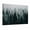 B, variant on XaaKee Conifer Fog Canvas Wall Art Mystical Misty Forest Art Prints Inner Framed 18*12Inch