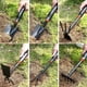 thumbnail image 5 of Iron Shovel/Hoe/Rake for Gardening Household Home Planting Tool for Garden Yard, 5 of 5