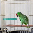 thumbnail image 4 of Aloha Parrot Perch Nature Wood Bird Stand Stick Paw Grinding Stick Parrot Perch Stand, 4 of 8