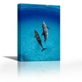 thumbnail image 1 of Atlantic Spotted Dolphin, pair underwater, Bahamas - Contemporary Fine Art Giclee on Canvas Gallery Wrap - wall décor - Art painting - 18 x 27 Inch - Ready to Hang, 1 of 2
