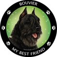 thumbnail image 2 of Bouvier Aimant Mon Meilleur Ami, 2 of 3