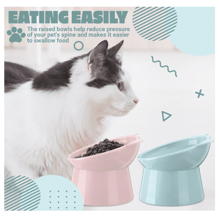 Tilted Elevated Cat and Dog Food Bowl - Cat Bowls Whisker Friendly Anti  Vomiting Slanted Cat Feeding Bowls Cute Shallow Cat Bowl (Tall Cat  Bowl-Pink)