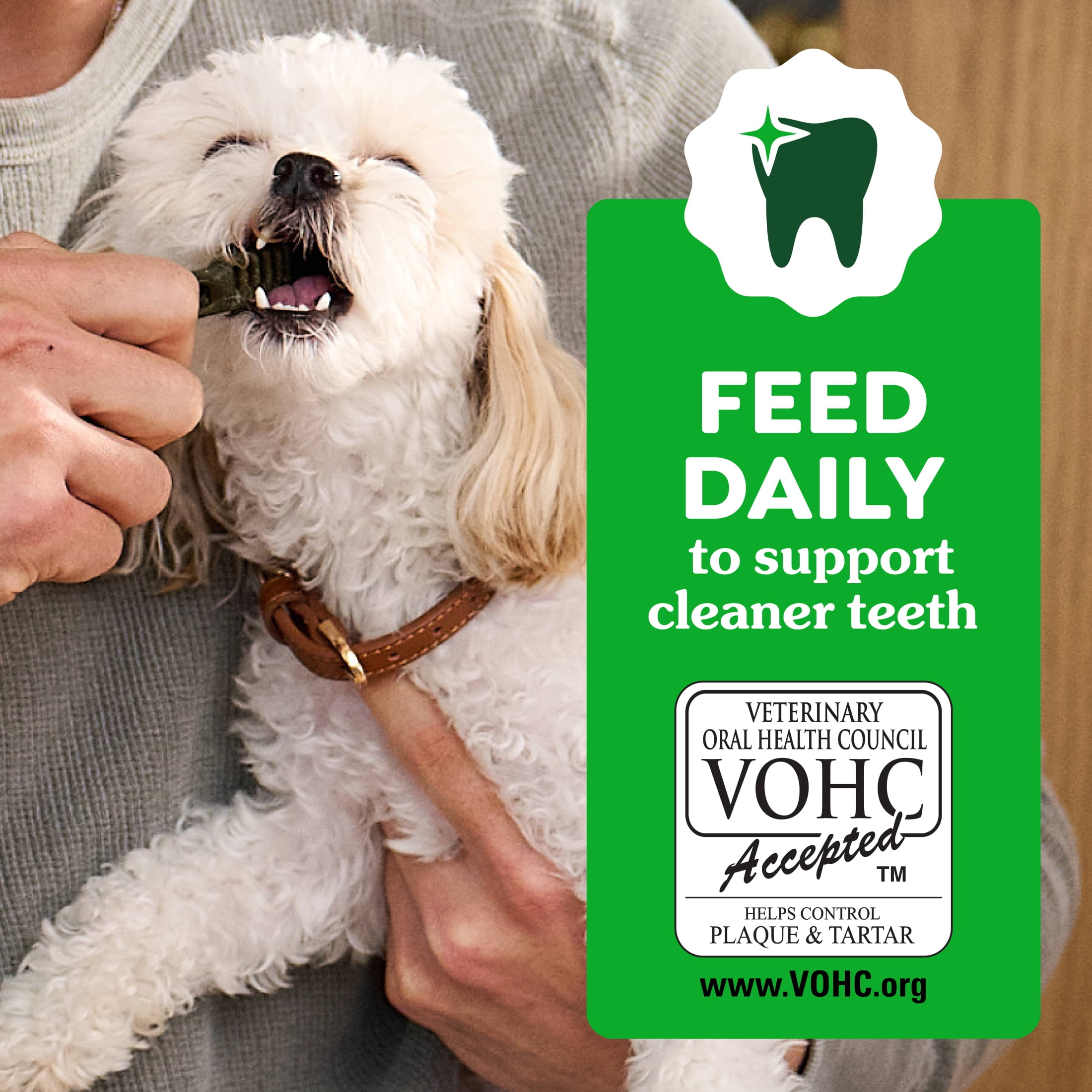 Greenies Natural Dental Puppy Treats Regular Size, 6 oz Pack (6 Count)