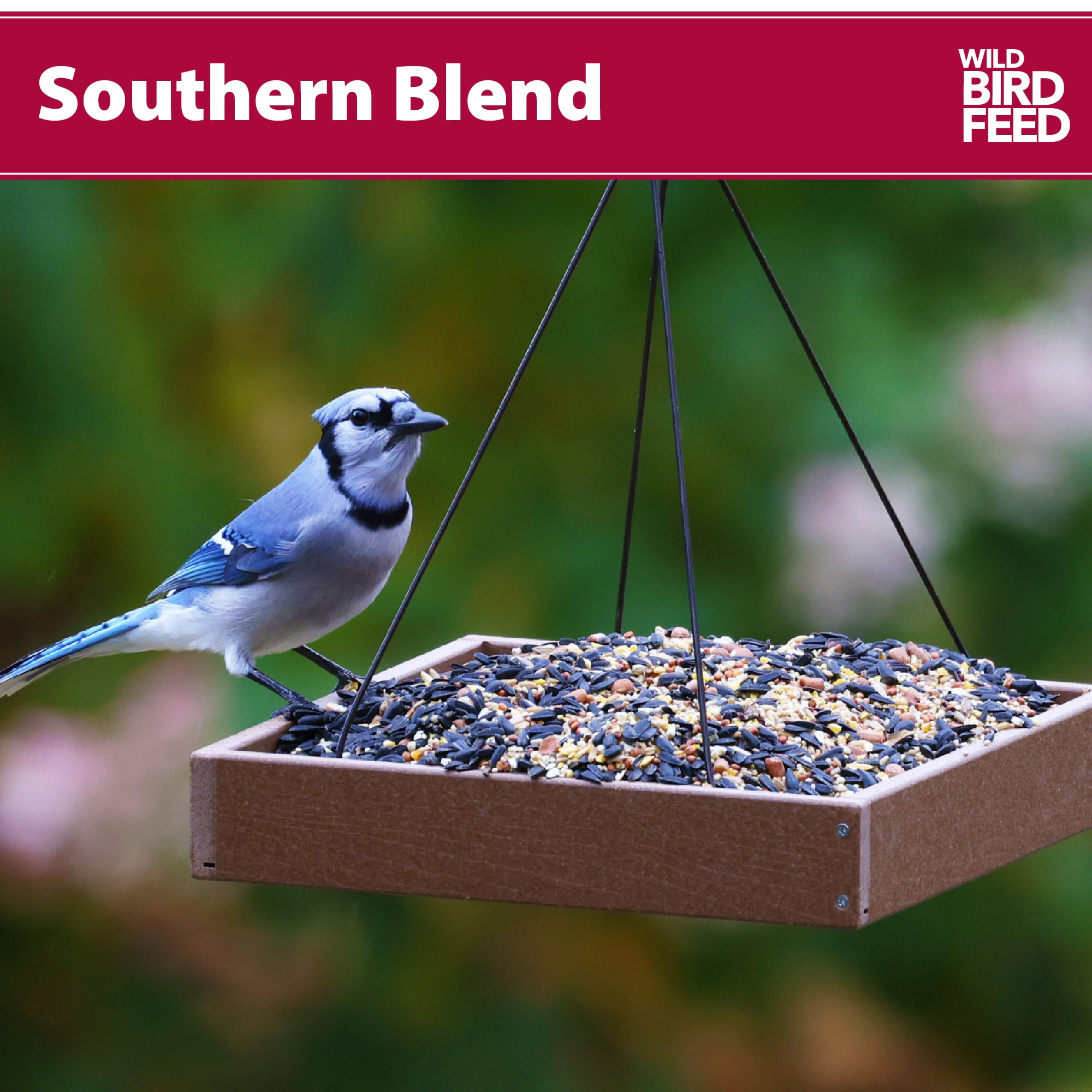 (3 pack) Southern Regional Blend Wild Bird Food, Dry, 1 Count Per Pack, 5 lb. Bag