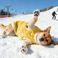 thumbnail image 4 of Insulated Vest Winter Coat For Dogs Featuring Convenient Leash Ring And Fashionable Cold Weather Design, 4 of 5