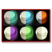 6 Color Daytime Invisible Glow in the Dark Paint Set-15ml pots
