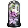 thumbnail image 1 of Rose Gift Box with Glass Cover LED Light Gift for Valentine‘s Day Anniversary, 1 of 9