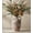 C-10"h-terracotta, variant on Ceramic Flower Vase D-11"h-antique Black Home Decor